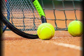 Saksdokumenter til årsmøtet